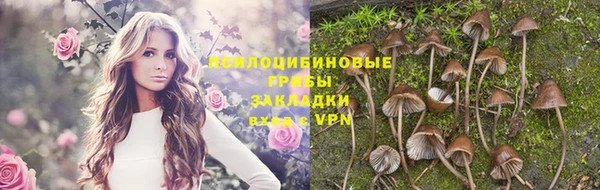 гашиш Алексин