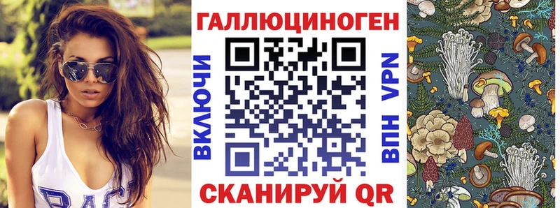 наркота  MEGA сайт  Псилоцибиновые грибы ЛСД  Бабаево 